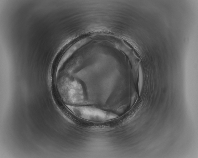 X0000113050630200909171542