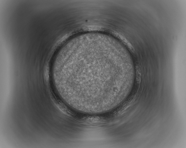 X0000113050631200909171542