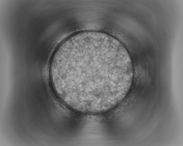 X0000113050632200909171542