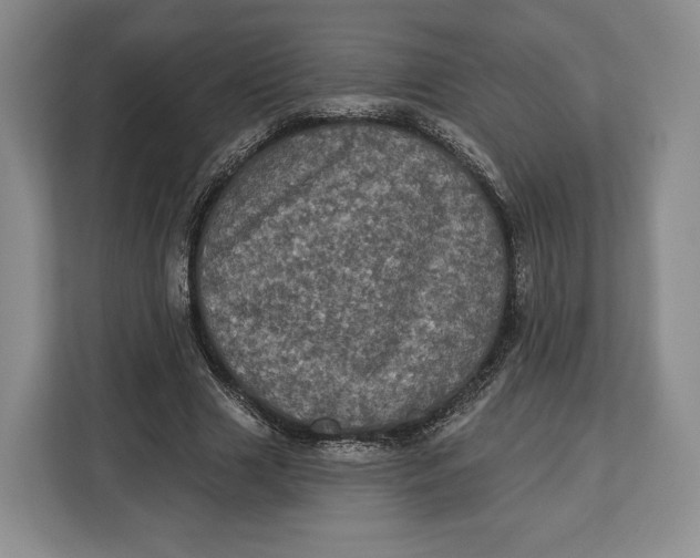 X0000113050633200909171542