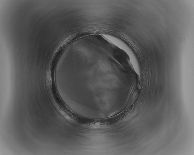 X0000113050634200909171542