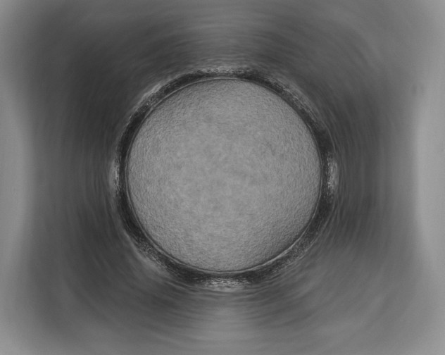 X0000113050636200909171542