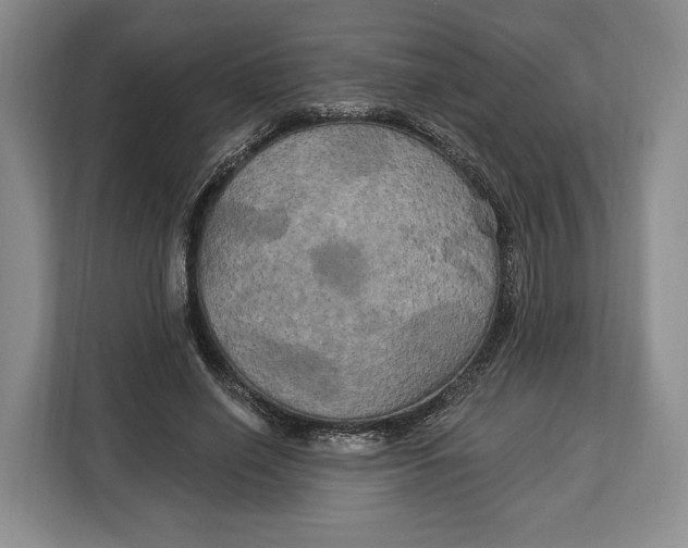 X0000113050638200909171542