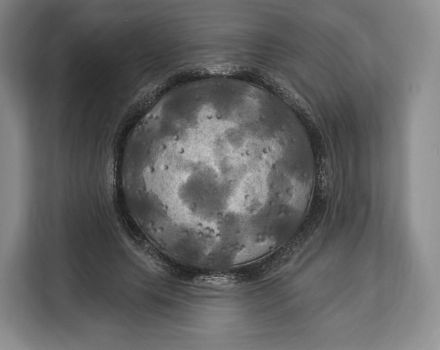 X0000113050639200909171542