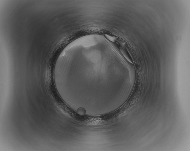 X0000113050642200909171542