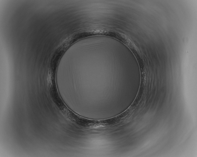 X0000113050643200909171542