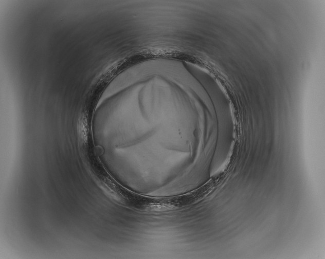 X0000113050644200909171542