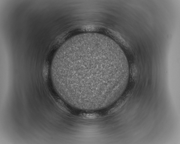 X0000113050645200909171542