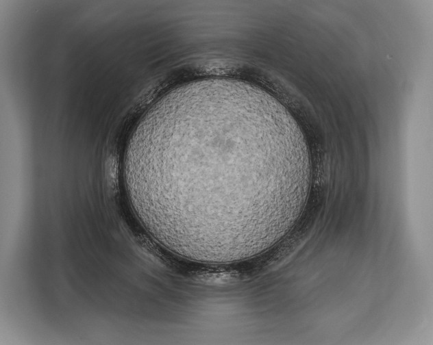 X0000113050646200909171542