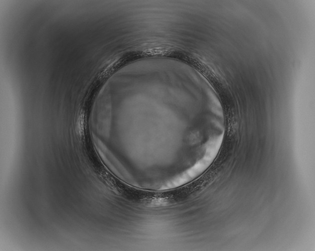 X0000113050647200909171542