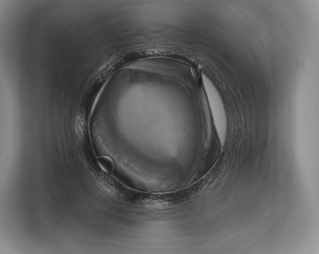 X0000113050648200909171542