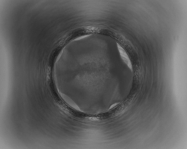 X0000113050649200909171542