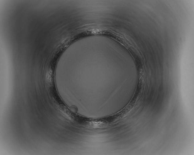 X0000113050650200909171542