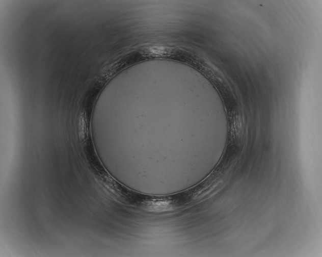 X0000113050651200909171542