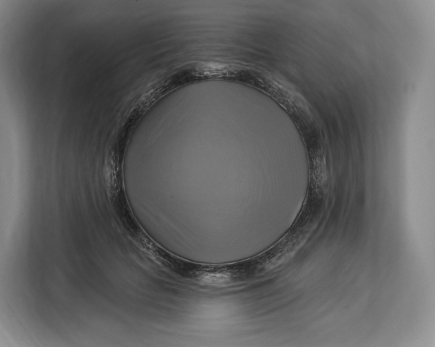 X0000113050653200909171542