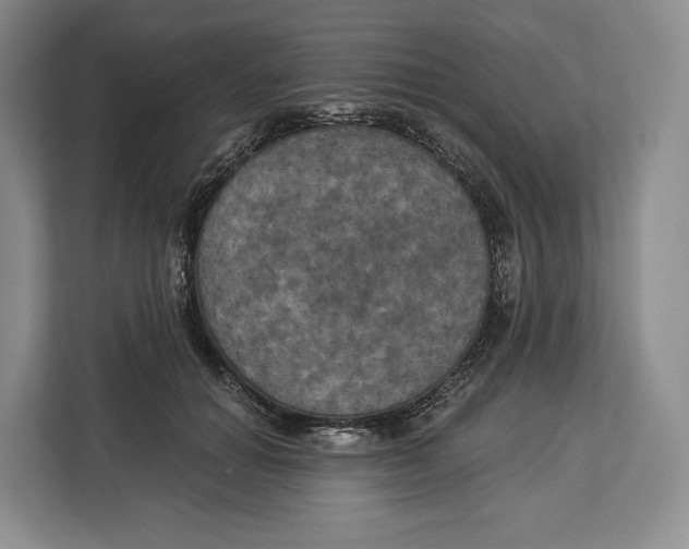 X0000113050654200909171542