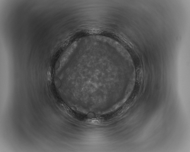 X0000113050655200909171542