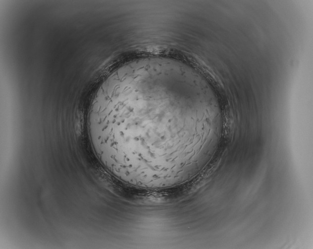 X0000113050656200909171542