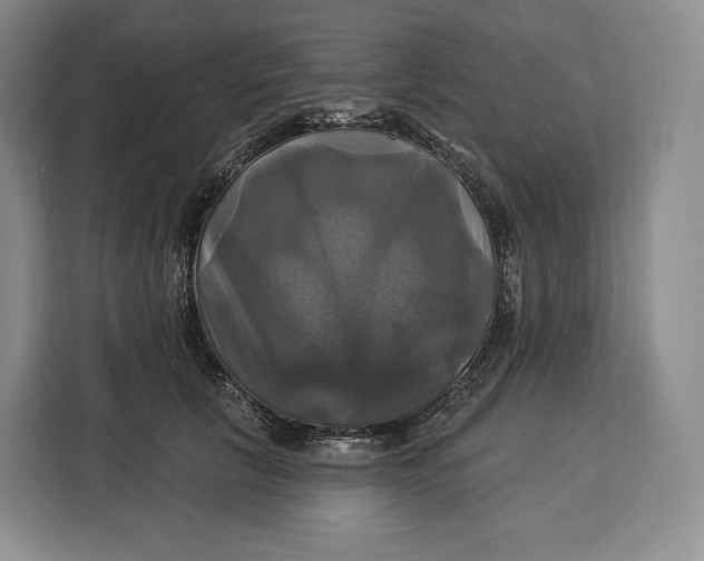 X0000113050657200909171542