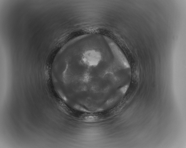 X0000113050658200909171542