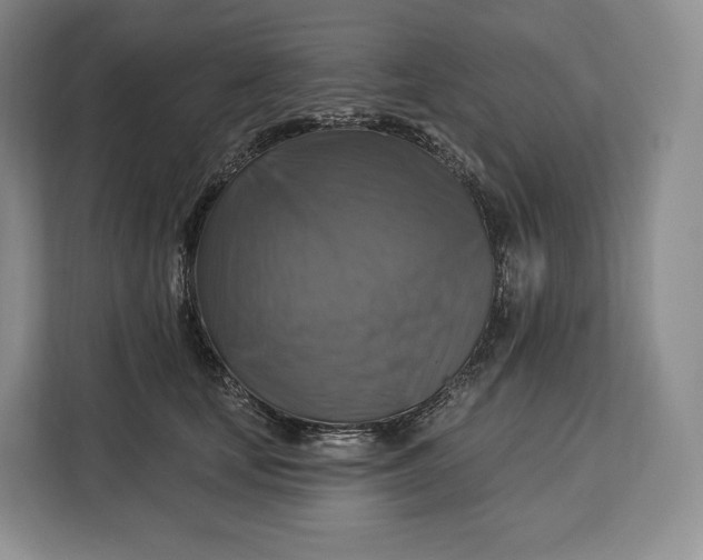 X0000113050659200909171542