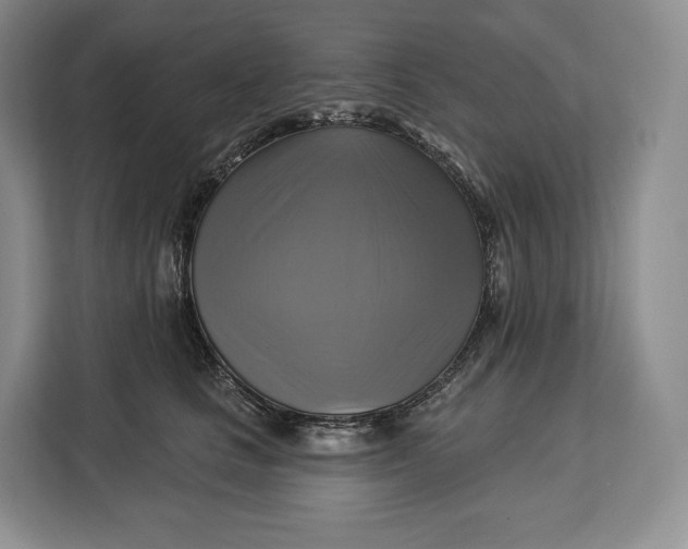 X0000113050661200909171542