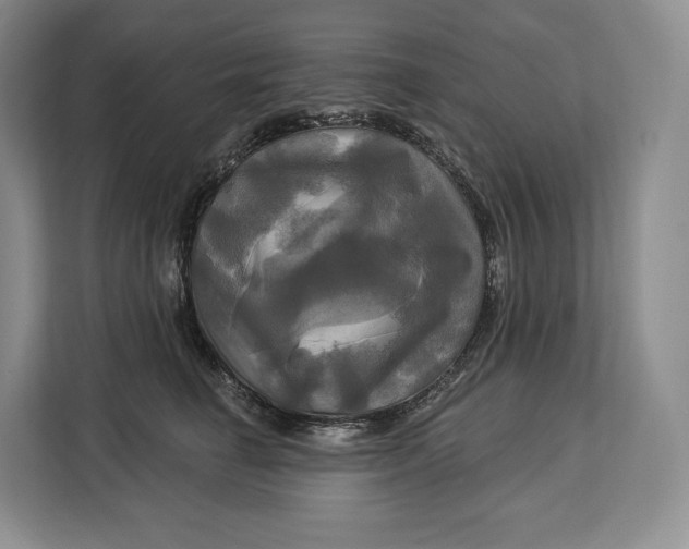 X0000113050662200909171542