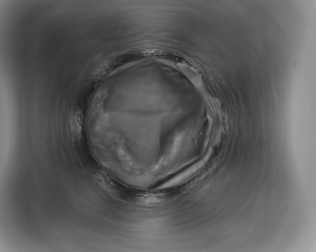 X0000113050664200909171542