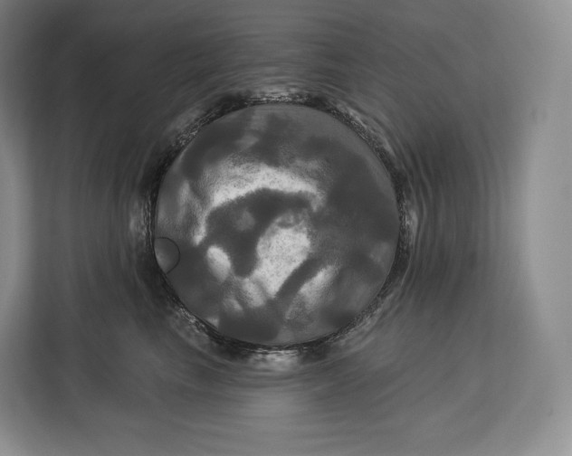 X0000113050665200909171542