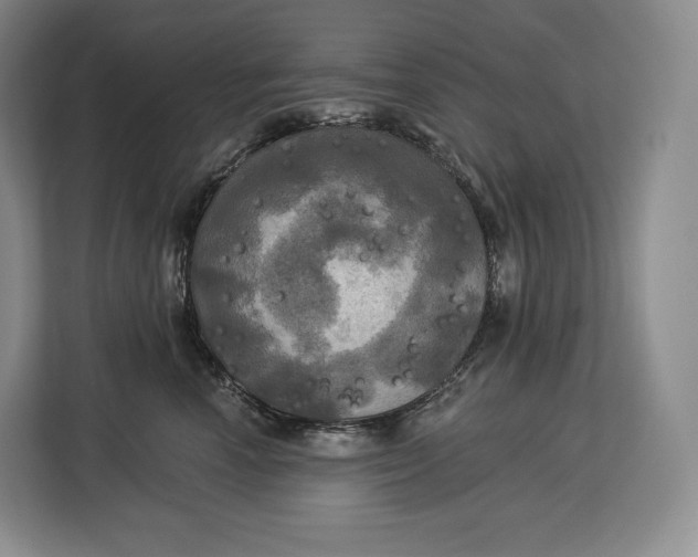 X0000113050666200909171542