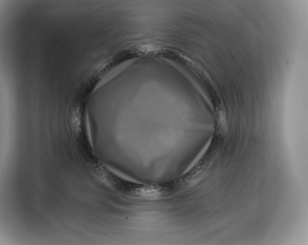 X0000113050668200909171542