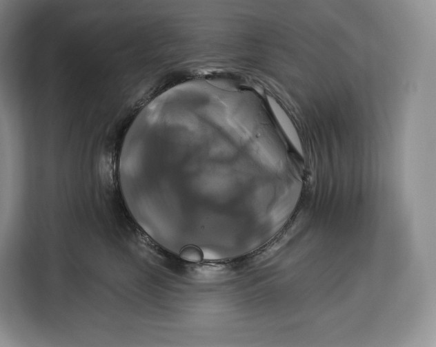 X0000113050669200909171542