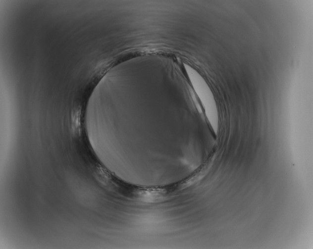 X0000113050670200909171542