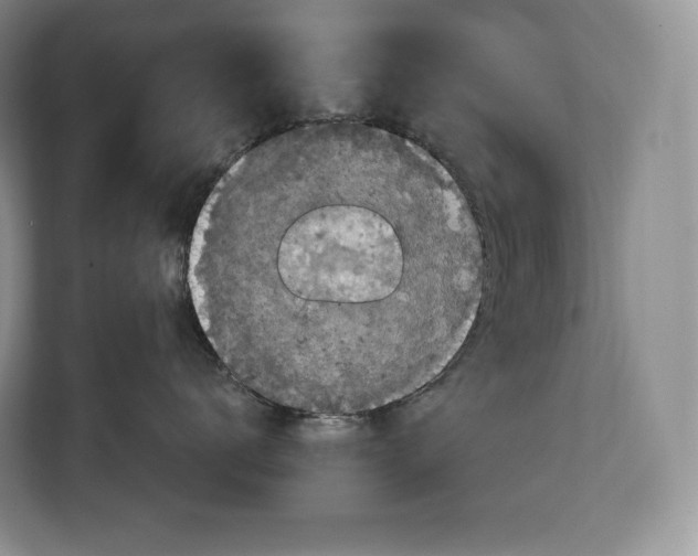 X0000113050672200909171542