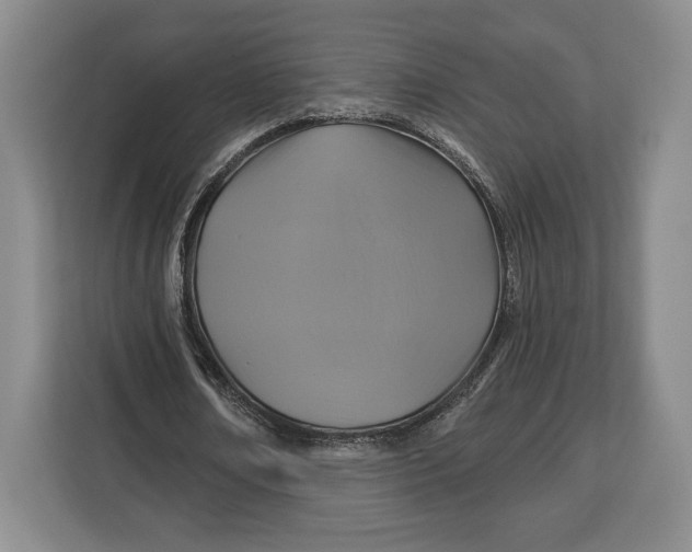 X0000113050674200909171541