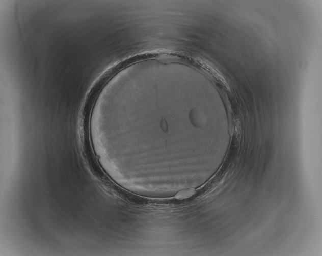 X0000113050676200909171541