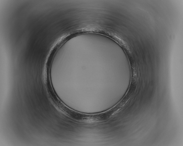 X0000113050678200909171541