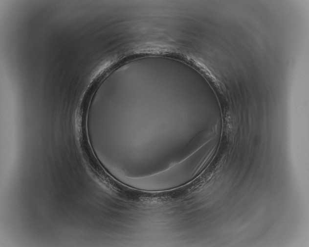 X0000113050679200909171541