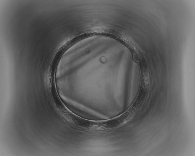 X0000113050680200909171541