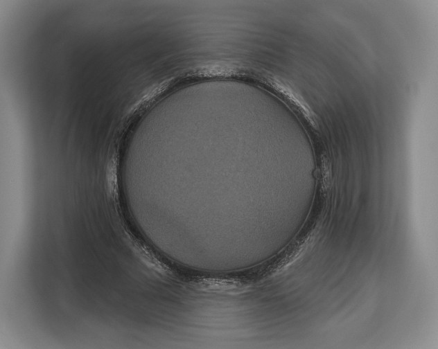 X0000113050681200909171541