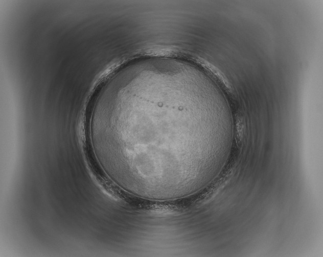 X0000113050682200909171541