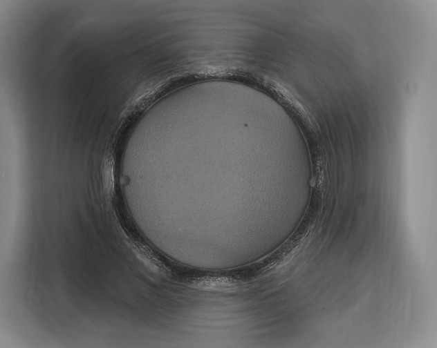 X0000113050685200909171541