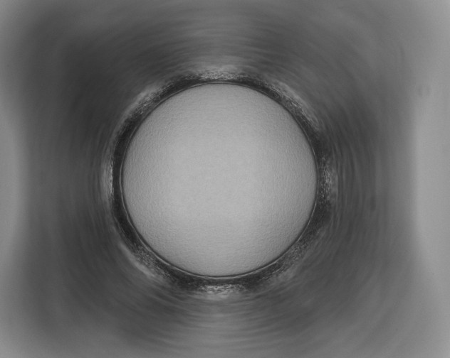 X0000113050686200909171541