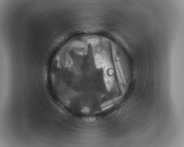 X0000113050687200909171541