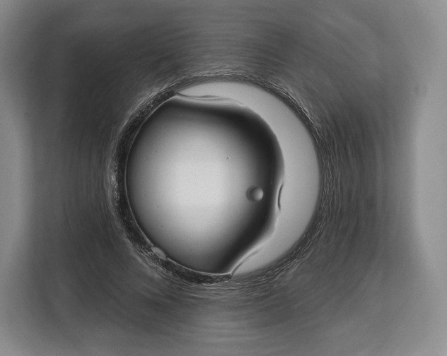 X0000113050688200909171541