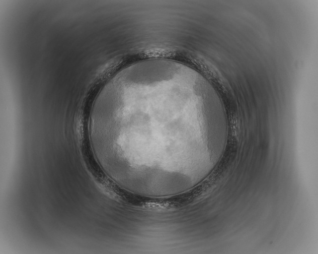 X0000113050690200909171541