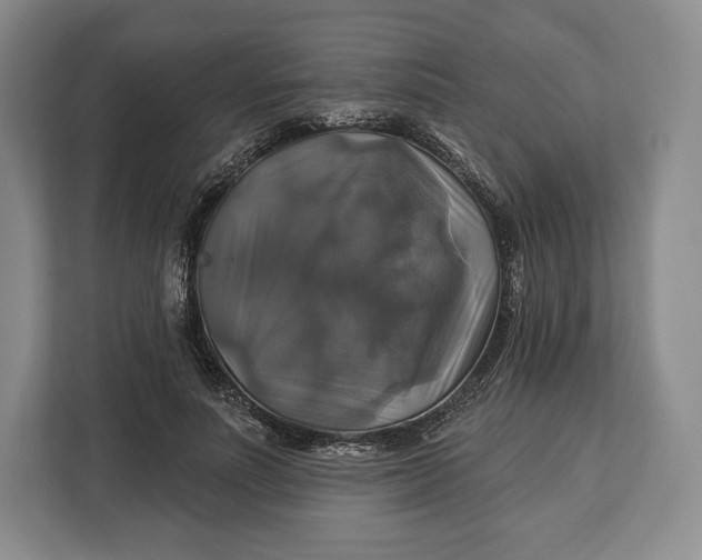 X0000113050691200909171541