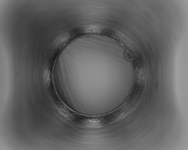 X0000113050692200909171541