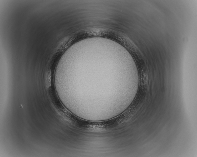 X0000113050694200909171541