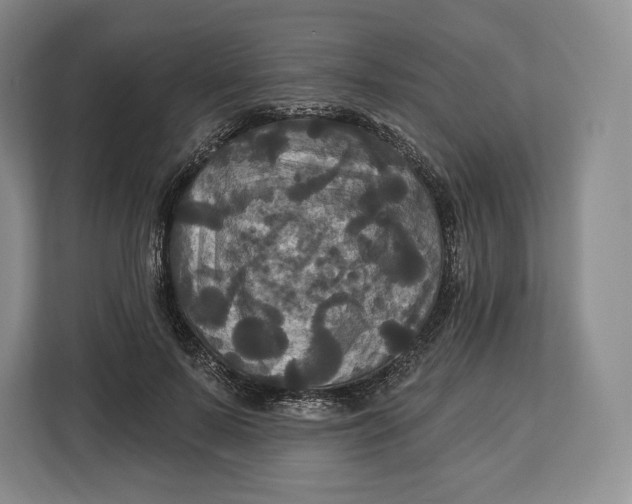 X0000113050695200909171541